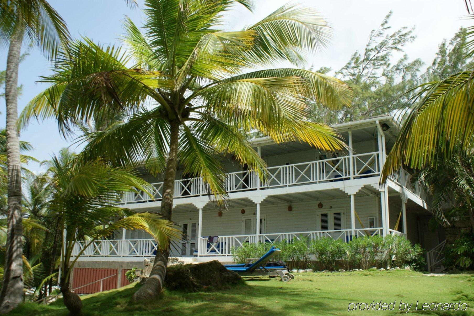 Eco Lifestyle And Lodge Bathsheba Exterior foto